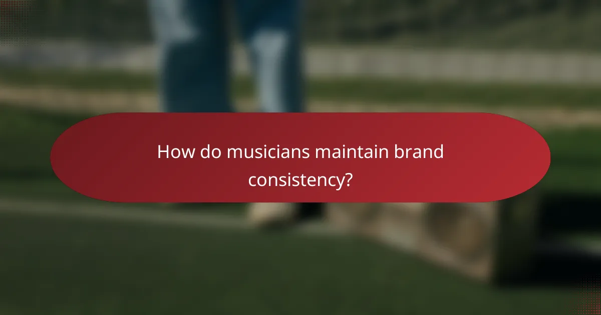 How do musicians maintain brand consistency?