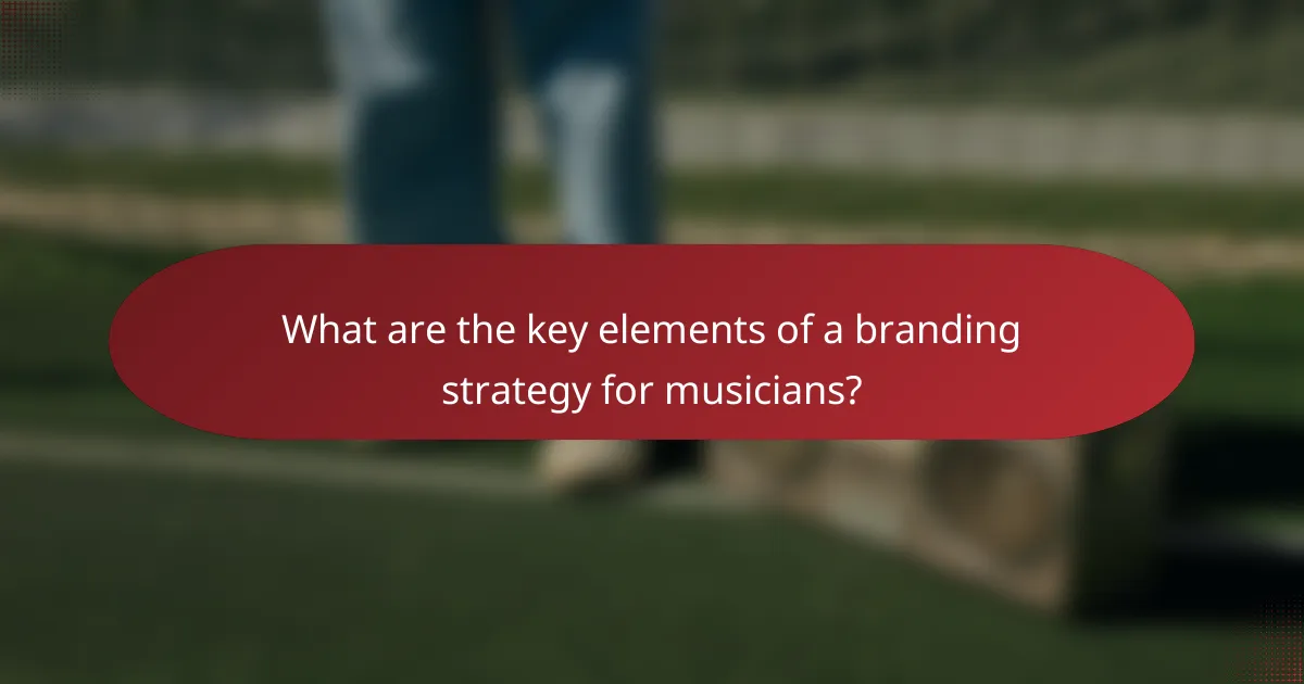What are the key elements of a branding strategy for musicians?